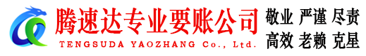寿县腾速达清债公司